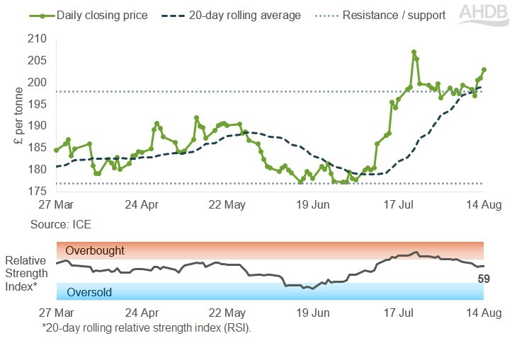 Line graph of UK feed futures Nov-26 contract prices over the past six months.
